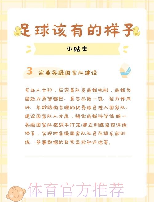 中国足球系列报道之二：职业足球在曲折中成长